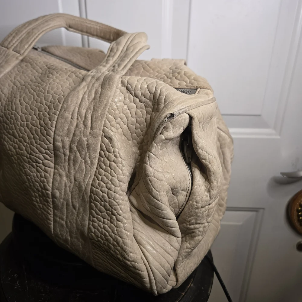 ALEXANDER WANG Pebbled Lambskin Rocco in Latte with Rose Silver Hardware